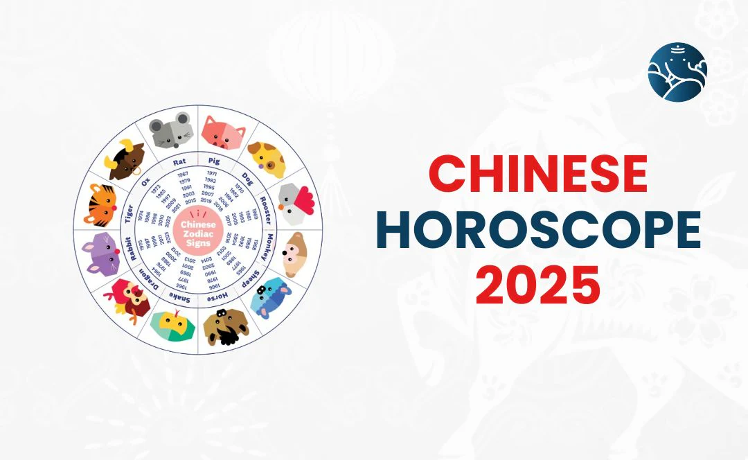 12 Chinese Zodiac Forecast 2025 Your Chinese Astrology Destiny